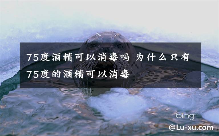 75度酒精可以消毒吗 为什么只有75度的酒精可以消毒