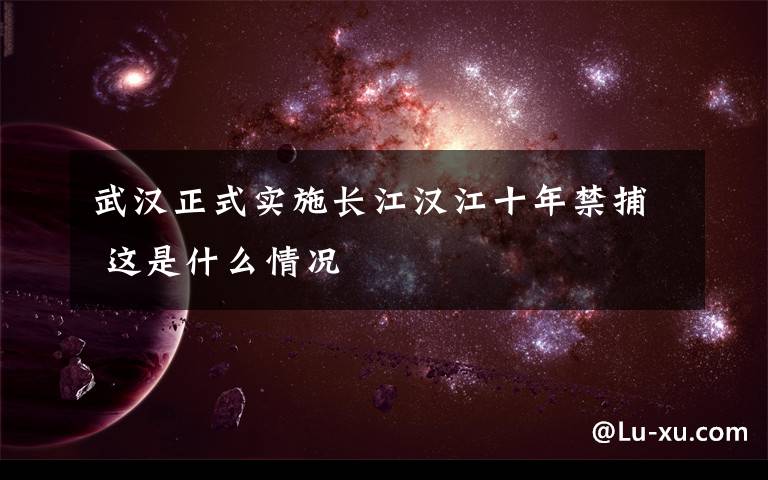 武汉正式实施长江汉江十年禁捕 这是什么情况