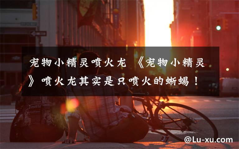 宠物小精灵喷火龙 《宠物小精灵》喷火龙其实是只喷火的蜥蜴!