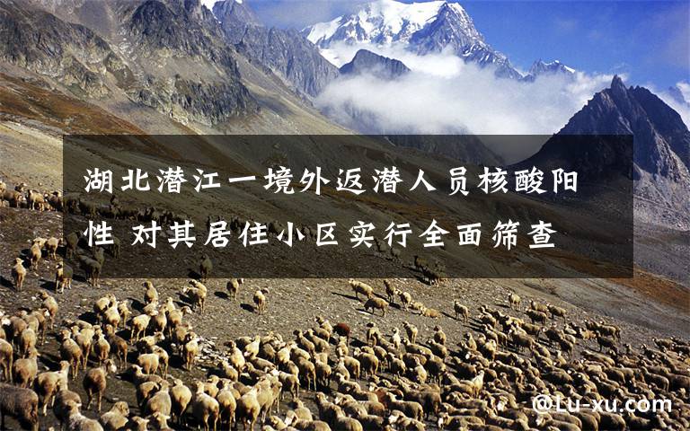 湖北潜江一境外返潜人员核酸阳性 对其居住小区实行全面筛查