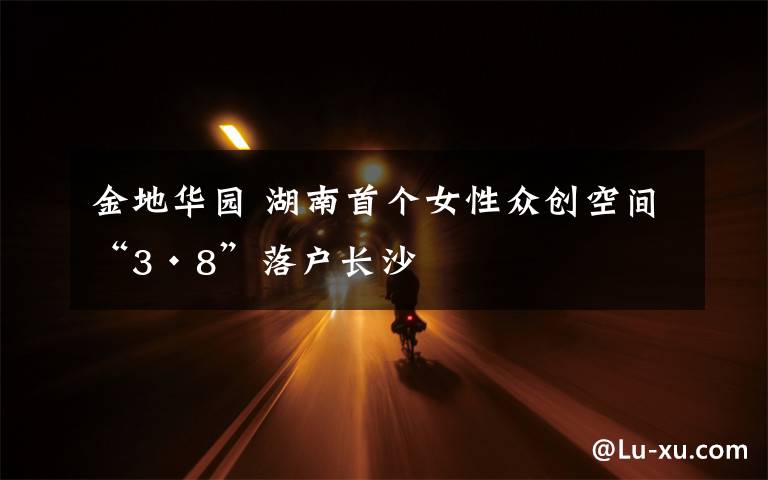 金地华园 湖南首个女性众创空间“3·8”落户长沙