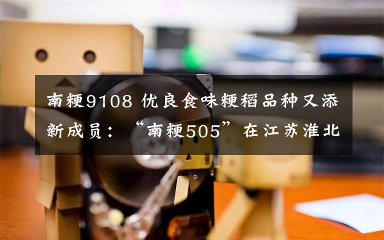 南粳9108 优良食味粳稻品种又添新成员:“南粳505”在江苏淮北地区开始推广