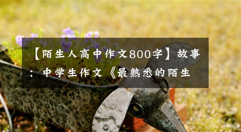 【陌生人高中作文800字】故事:中学生作文《最熟悉的陌生人》,我想在陌生花开的时候牵着你的手。