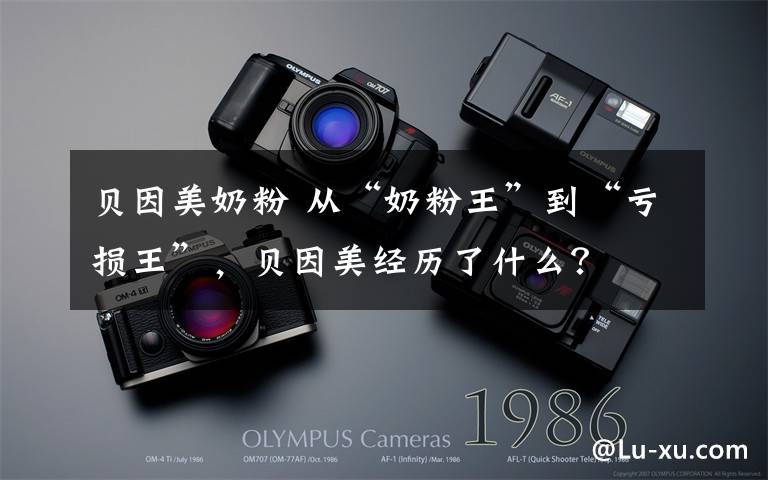 贝因美奶粉 从“奶粉王”到“亏损王”,贝因美经历了什么?