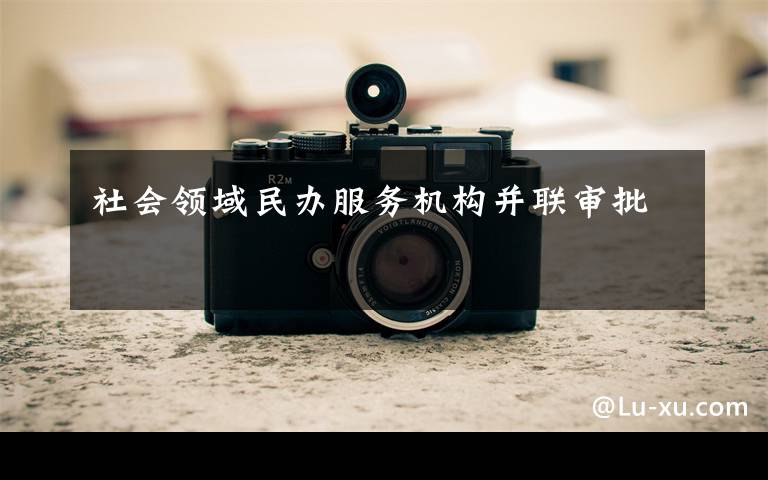 社会领域民办服务机构并联审批