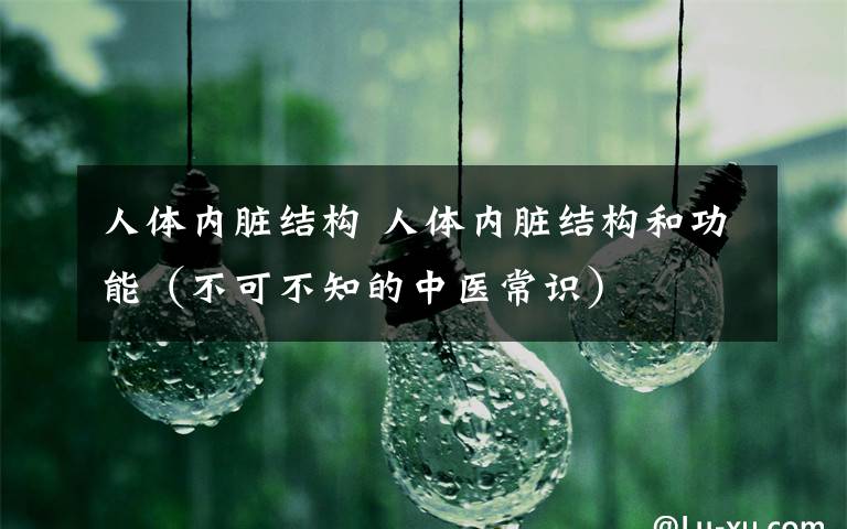 人体内脏结构 人体内脏结构和功能(不可不知的中医常识)