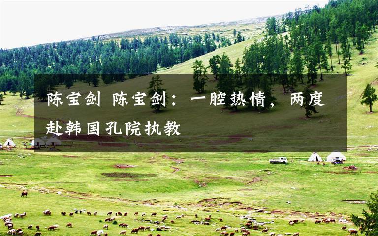 陈宝剑 陈宝剑:一腔热情,两度赴韩国孔院执教