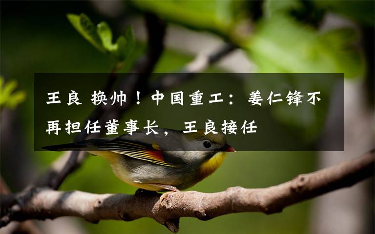 王良 换帅!中国重工:姜仁锋不再担任董事长,王良接任