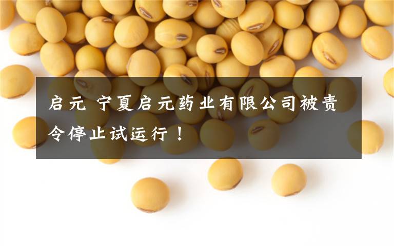 启元 宁夏启元药业有限公司被责令停止试运行!