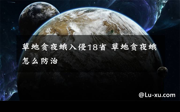 草地贪夜蛾入侵18省 草地贪夜蛾怎么防治