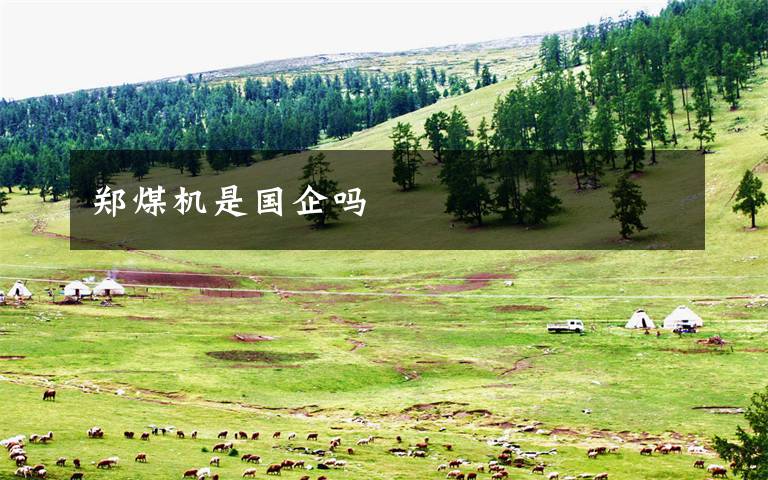 郑煤机是国企吗