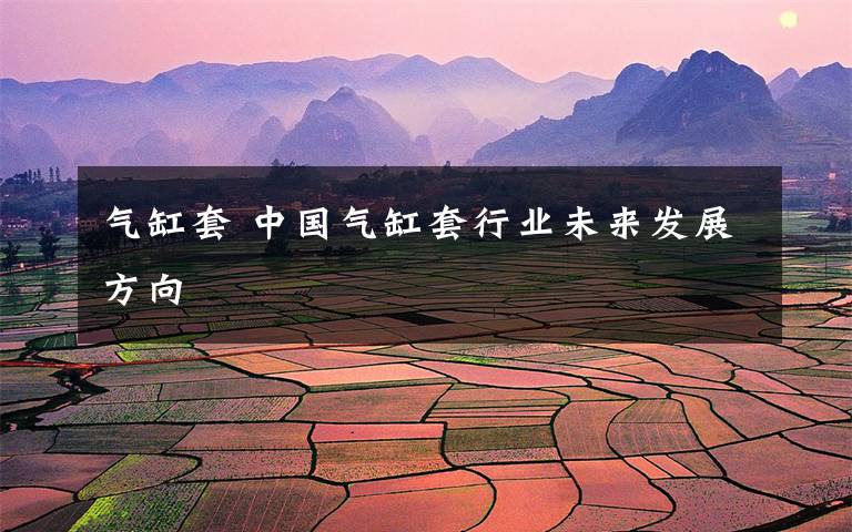 气缸套 中国气缸套行业未来发展方向