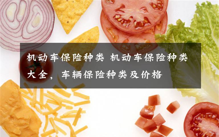 机动车保险种类 机动车保险种类大全,车辆保险种类及价格