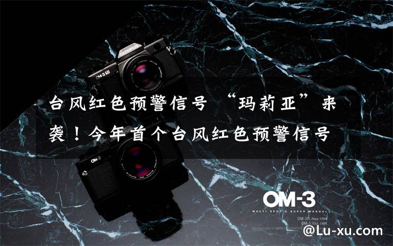 台风红色预警信号 “玛莉亚”来袭!今年首个台风红色预警信号发布