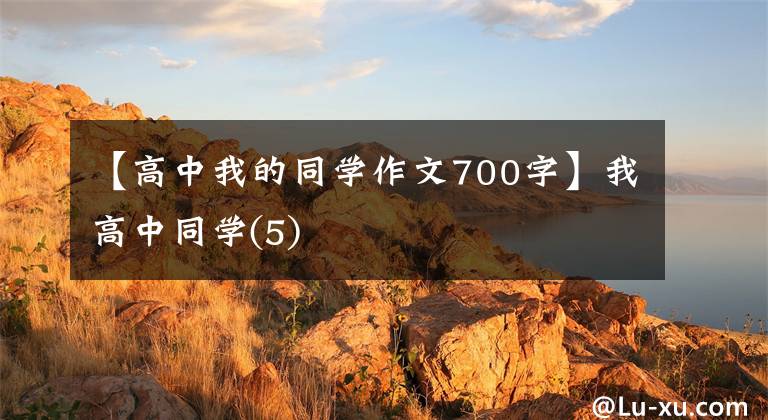 【高中我的同学作文700字】我高中同学(5)
