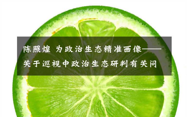 陈照煌 为政治生态精准画像——关于巡视中政治生态研判有关问题的研究与思考