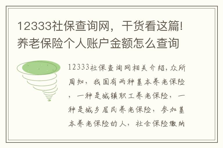 12333社保查询网,干货看这篇!养老保险个人账户金额怎么查询?四种方式告诉你