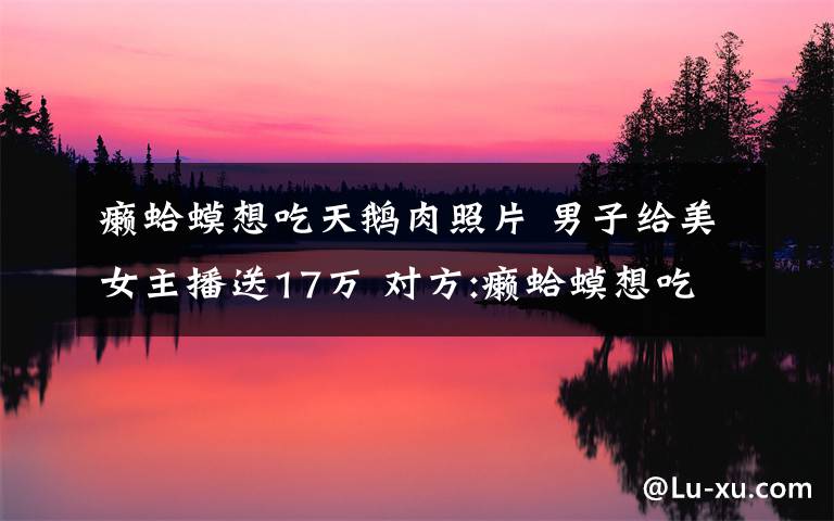 癞蛤蟆想吃天鹅肉照片 男子给美女主播送17万 对方:癞蛤蟆想吃天鹅肉