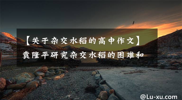 【关于杂交水稻的高中作文】袁隆平研究杂交水稻的困难和曲折。