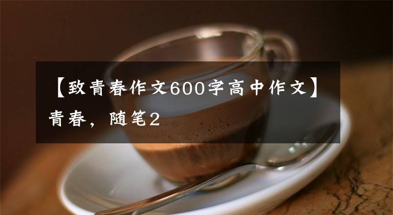 【致青春作文600字高中作文】青春,随笔2
