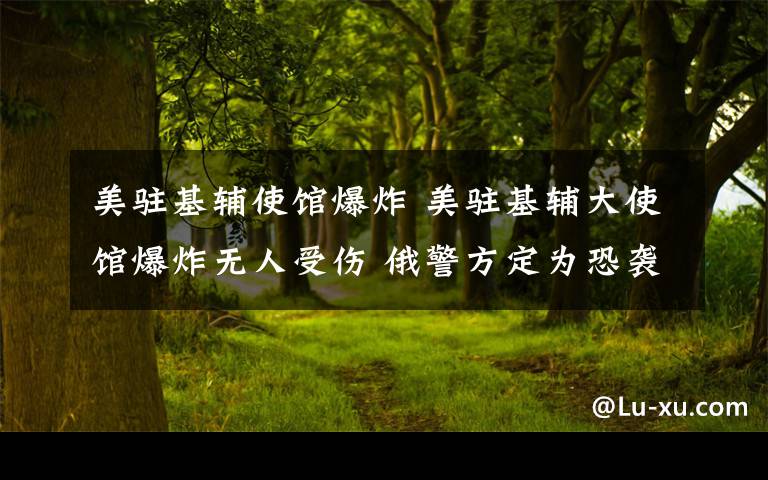 美驻基辅使馆爆炸 美驻基辅大使馆爆炸无人受伤 俄警方定为恐袭