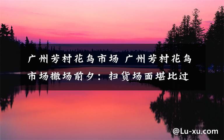 广州芳村花鸟市场 广州芳村花鸟市场撤场前夕:扫货场面堪比过年集市