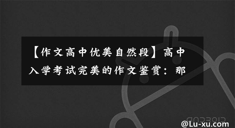 【作文高中优美自然段】高中入学考试完美的作文鉴赏:那天,阳光真的很好