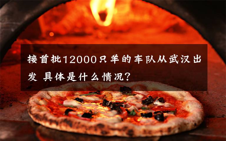 接首批12000只羊的车队从武汉出发 具体是什么情况?