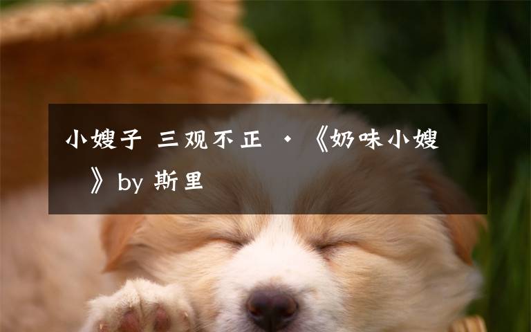 小嫂子 三观不正 ·《奶味小嫂子》by 斯里