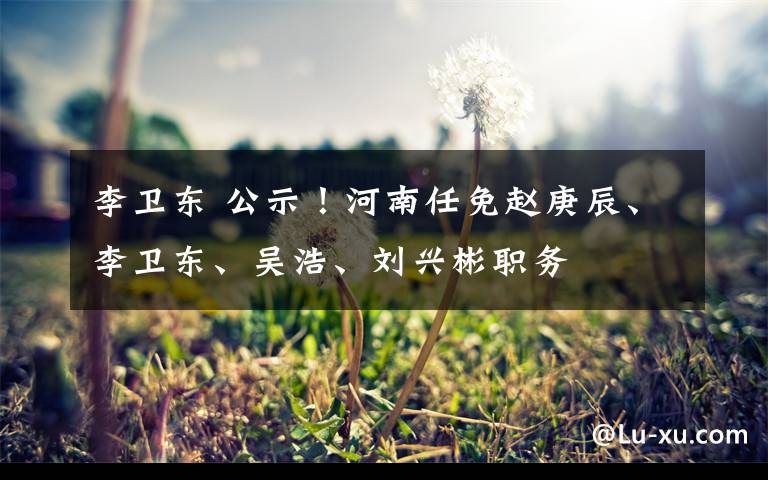 李卫东 公示!河南任免赵庚辰、李卫东、吴浩、刘兴彬职务