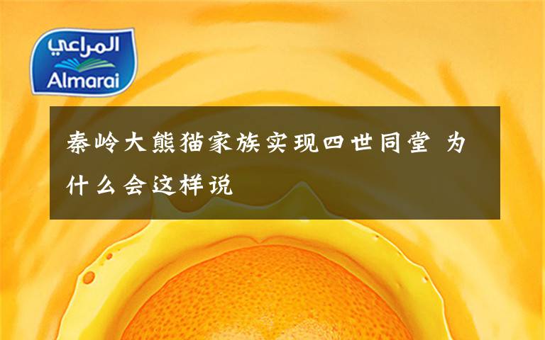 秦岭大熊猫家族实现四世同堂 为什么会这样说