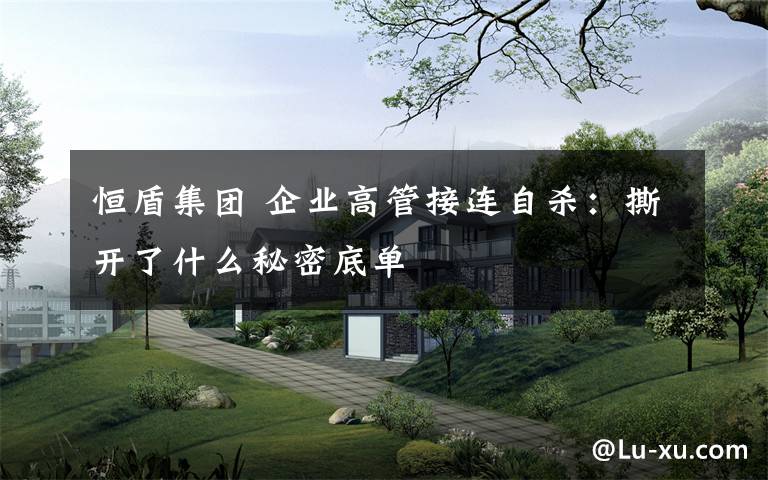 恒盾集团 企业高管接连自杀:撕开了什么秘密底单