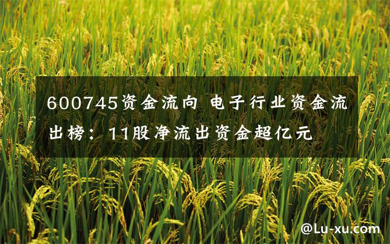 600745资金流向 电子行业资金流出榜:11股净流出资金超亿元