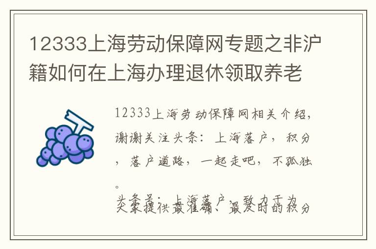 12333上海劳动保障网专题之非沪籍如何在上海办理退休领取养老金？