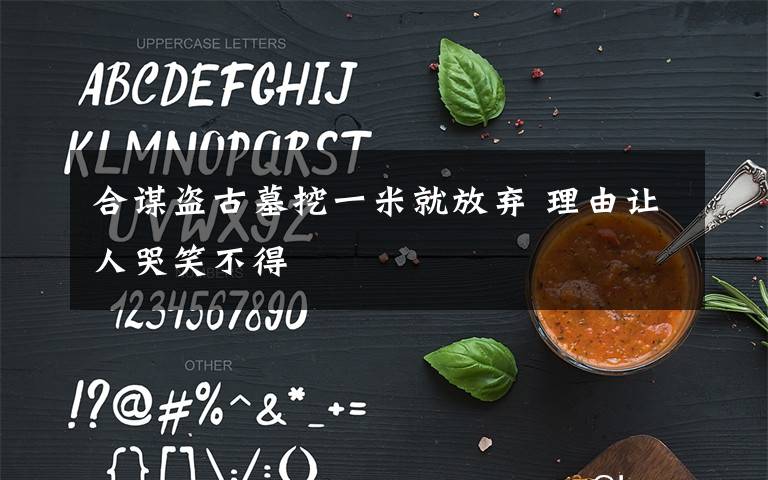 合谋盗古墓挖一米就放弃 理由让人哭笑不得