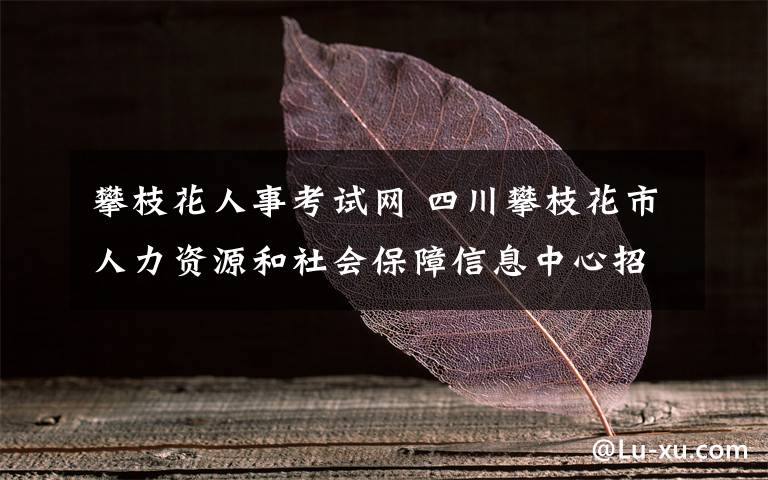 攀枝花人事考试网 四川攀枝花市人力资源和社会保障信息中心招聘! /四川人事考试网