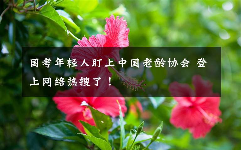 国考年轻人盯上中国老龄协会 登上网络热搜了!