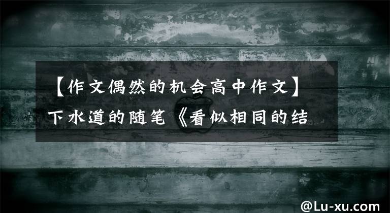 【作文偶然的机会高中作文】下水道的随笔《看似相同的结果,却是天差地别》