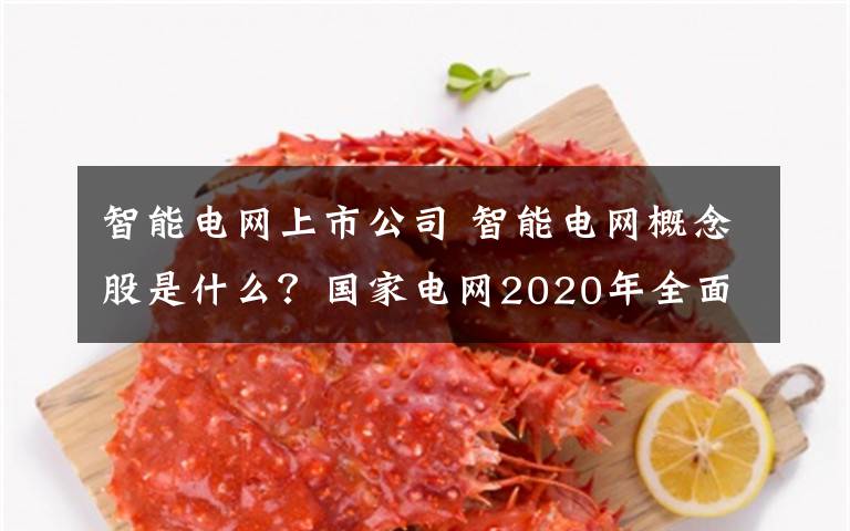 智能电网上市公司 智能电网概念股是什么？国家电网2020年全面建成智能电网目标