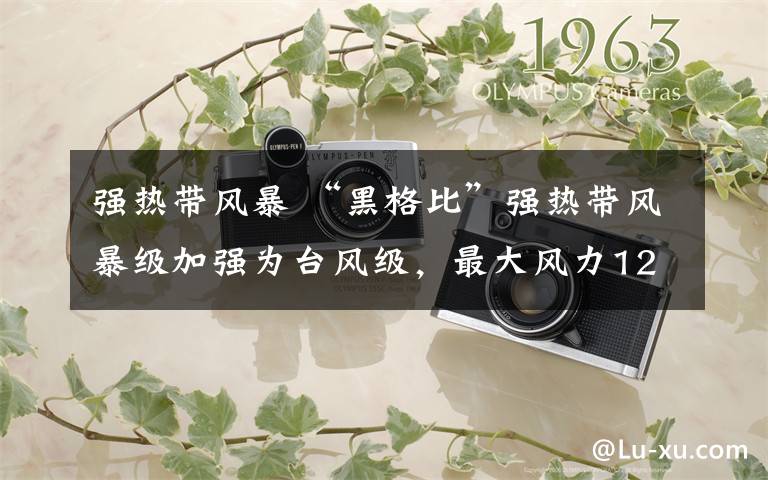 强热带风暴 “黑格比”强热带风暴级加强为台风级,最大风力12级