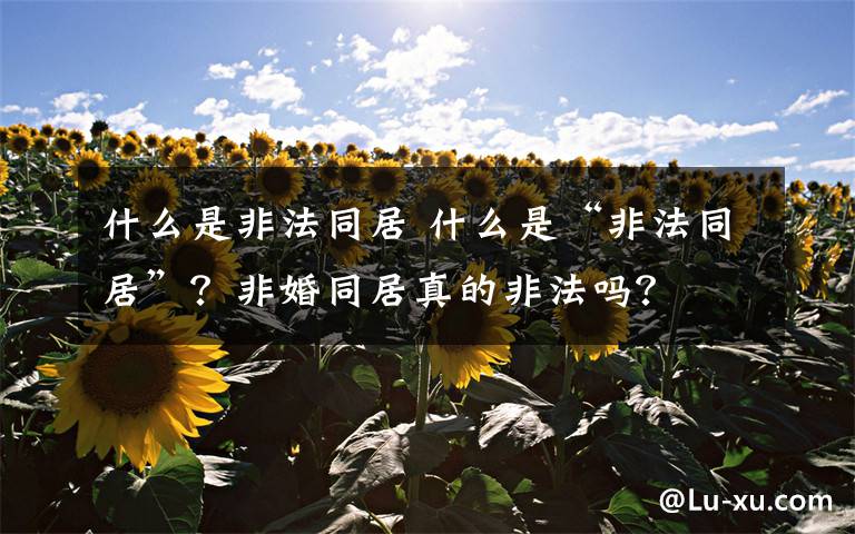 什么是非法同居 什么是“非法同居”？非婚同居真的非法吗？