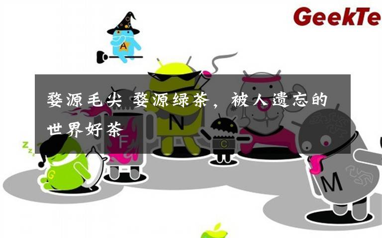 婺源毛尖 婺源绿茶,被人遗忘的世界好茶