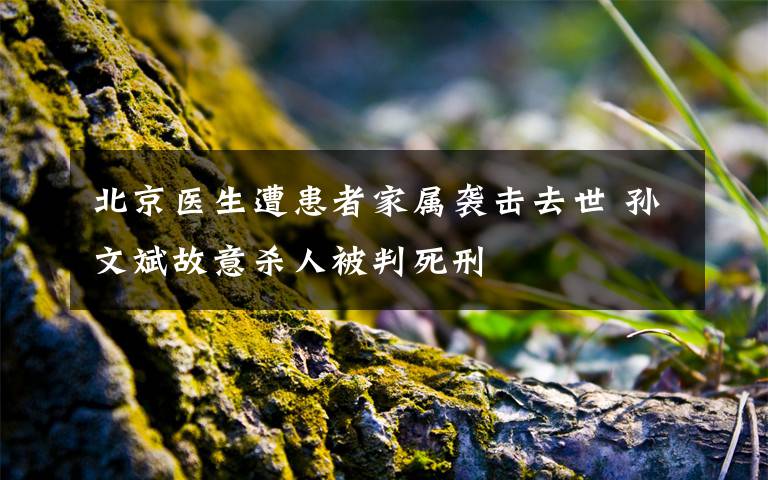 北京医生遭患者家属袭击去世 孙文斌故意杀人被判死刑