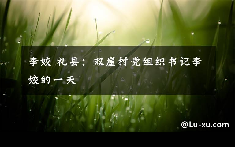 李姣 礼县:双崖村党组织书记李姣的一天