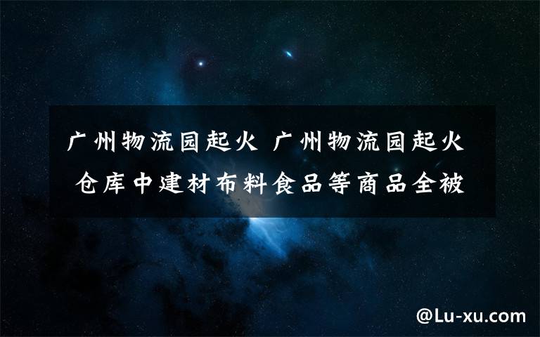 广州物流园起火 广州物流园起火 仓库中建材布料食品等商品全被烧毁