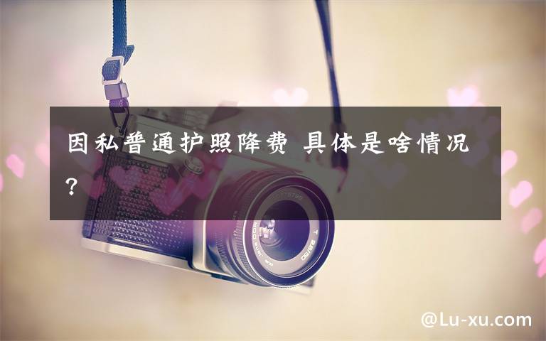 因私普通护照降费 具体是啥情况?