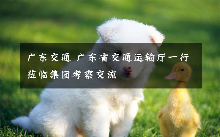 广东交通 广东省交通运输厅一行莅临集团考察交流