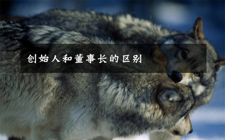 创始人和董事长的区别