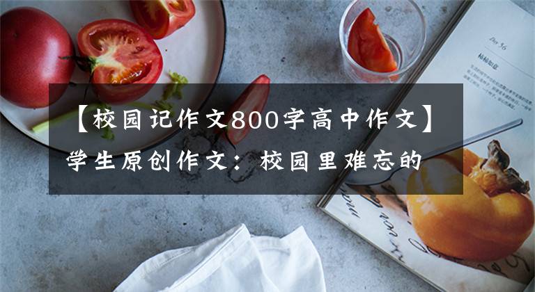 【校园记作文800字高中作文】学生原创作文:校园里难忘的事