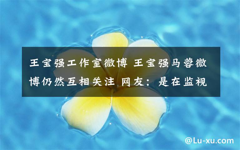 王宝强工作室微博 王宝强马蓉微博仍然互相关注 网友：是在监视对方一举一动吧